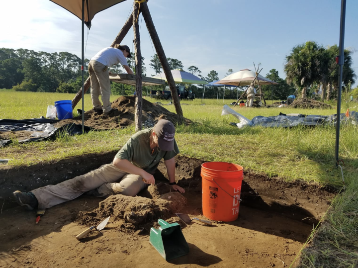 Students participating Ossabaw Island Acraeological Field School