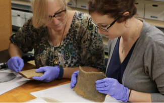 UGA Archaeology Lab