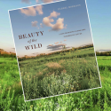 D. Morrison Beauty of the Wild
